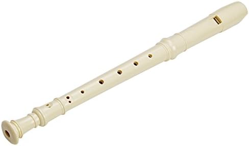 2 Pack German Style 8 Hole-3 Piece Descant Soprano Recorders with Cleaning Rod, Black Storage Bag, ABS Material (Ivory White)