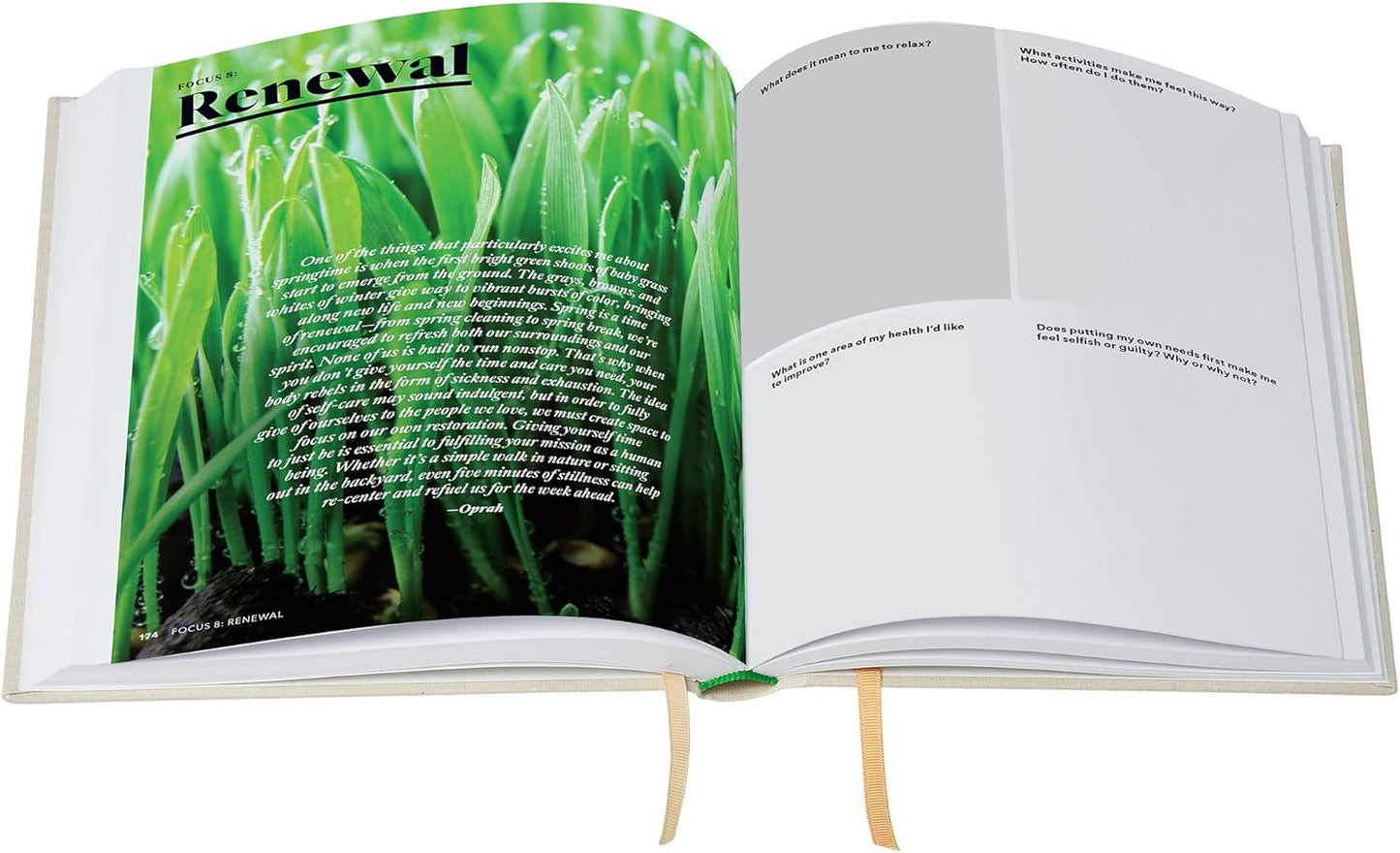 Oprah's The Life You Want™ Planner: Part weekly planner, part intention journal, this powerful undated guide will help you set a vision for your life and intentions for each week