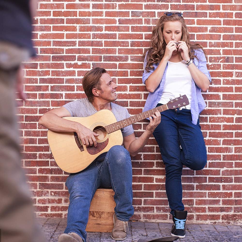 4PCS Key of C 10 Hole 10 Tones Titanium Color Harmonica with Case for Beginner Students Kids(Gold, Purple, Green, Blue)