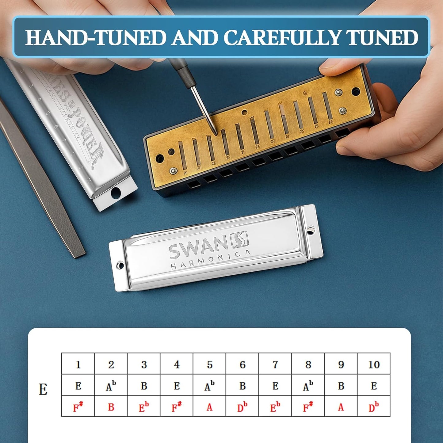 SWAN Blues Harmonica, Key of E, 10 Hole 20 Tone Diatonic Harp Mouth Organ, Stainless Steel Deluxe Harmonica for Adults, Students, Beginners, as a Gift (Silver-E)