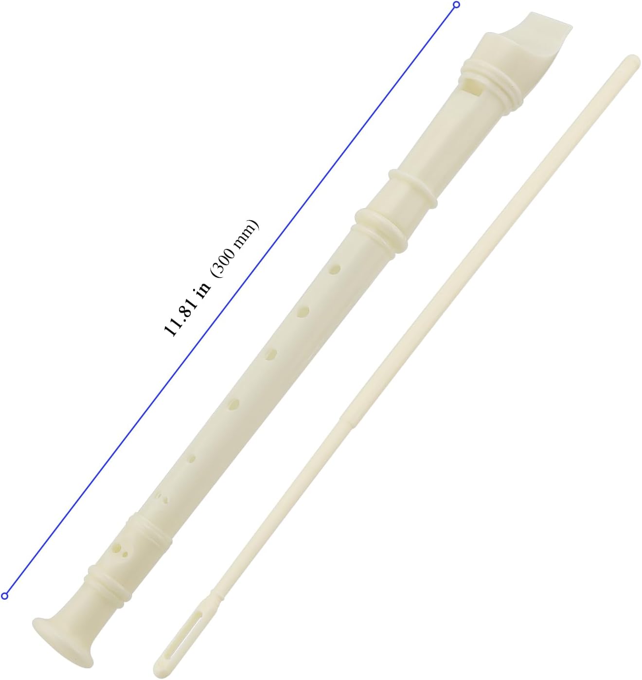 40 PCS 8 Hole Recorder Instrument, Soprano Descant Recorder Musical Instruments with Cleaning Rod, Plastic Flute Instrument for Beginners School Student Music Instrument