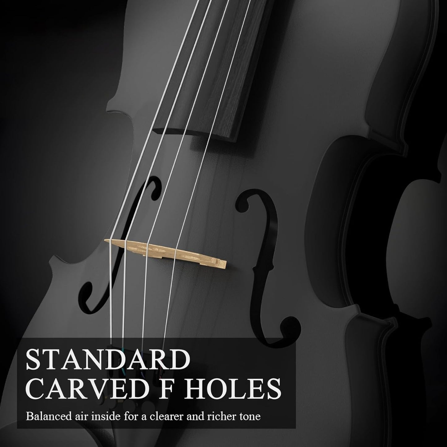 4/4 Beginner Violin Kit for Adults, Complete Full Size Violin Set with Portable Case, Bow, Rosin, Black