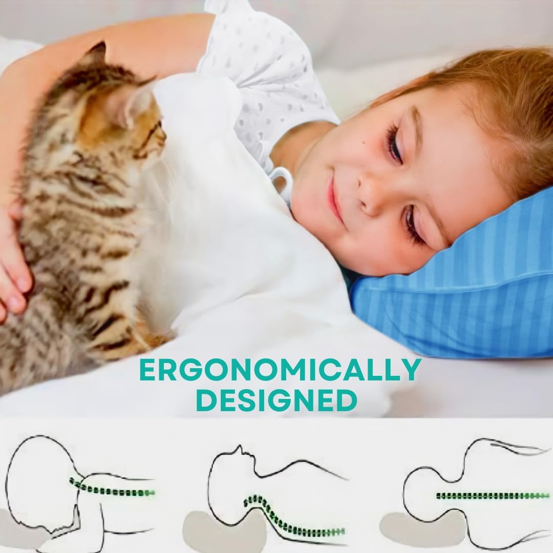 kinder Fluff Toddler Pillows for Bed (2X) - The Only Kids Pillow 300T Cotton Shell & Down Alternative Fill - Travel Pillow for Children Bedding Set Sleeping Pillow Floor Bed Pillows (14x20in - Blue)