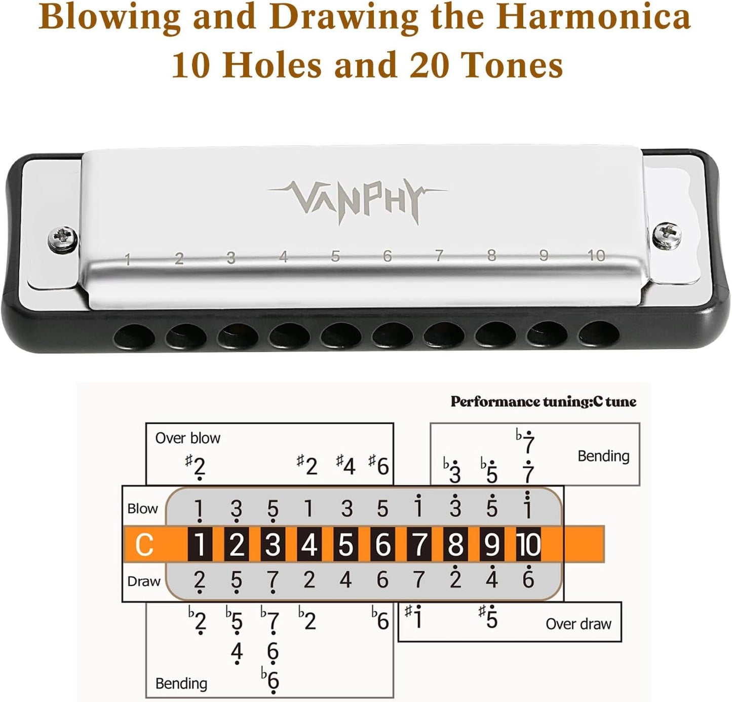 Harmonica 10 Hole Diatonic Blues Harmonica Key of C Rounded Holes Blues Harmonicas with Black Case for Adults Professionals Beginners and Students as a Gift（Sliver）