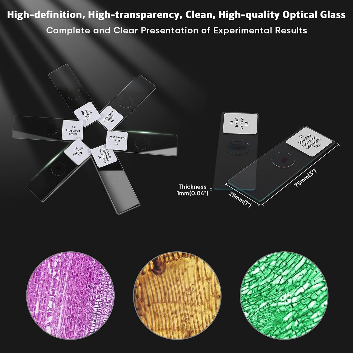 60 Microscope Slides with Specimens,Prepared Microscope Slides for Kids,Glass Slides for Microscope,Prepared Slides for Kids Microscope,Microscope Slide Preparation Kit for Biology Science Classes