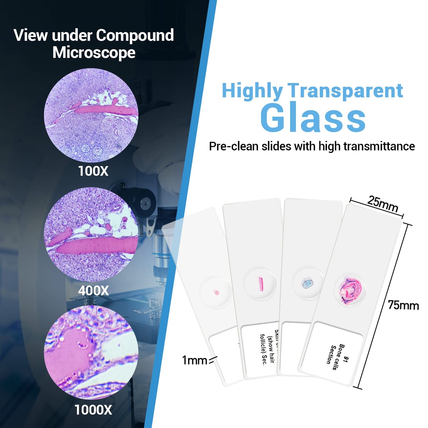 100Pcs Prepared Microscope Slides Set Professional Specimens for Kids Student Homeschool Use