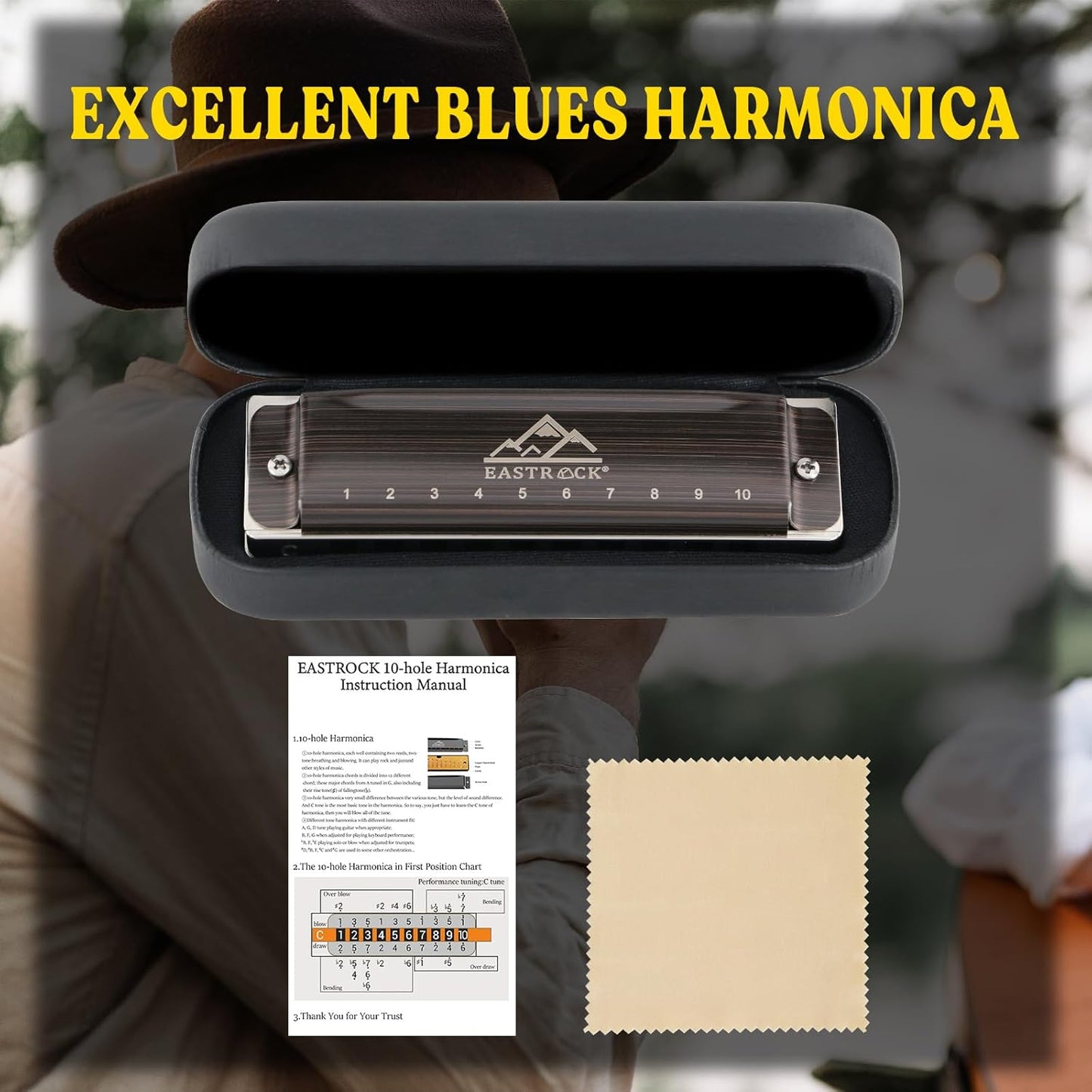 EastRock Harmonica, Blues Harmonica Mouth Organ 10 Hole C Key with Case, Diatonic Harmonica for Professional Player, Beginner, Students, Adult, Friends, Gifts（Brushed Metal）