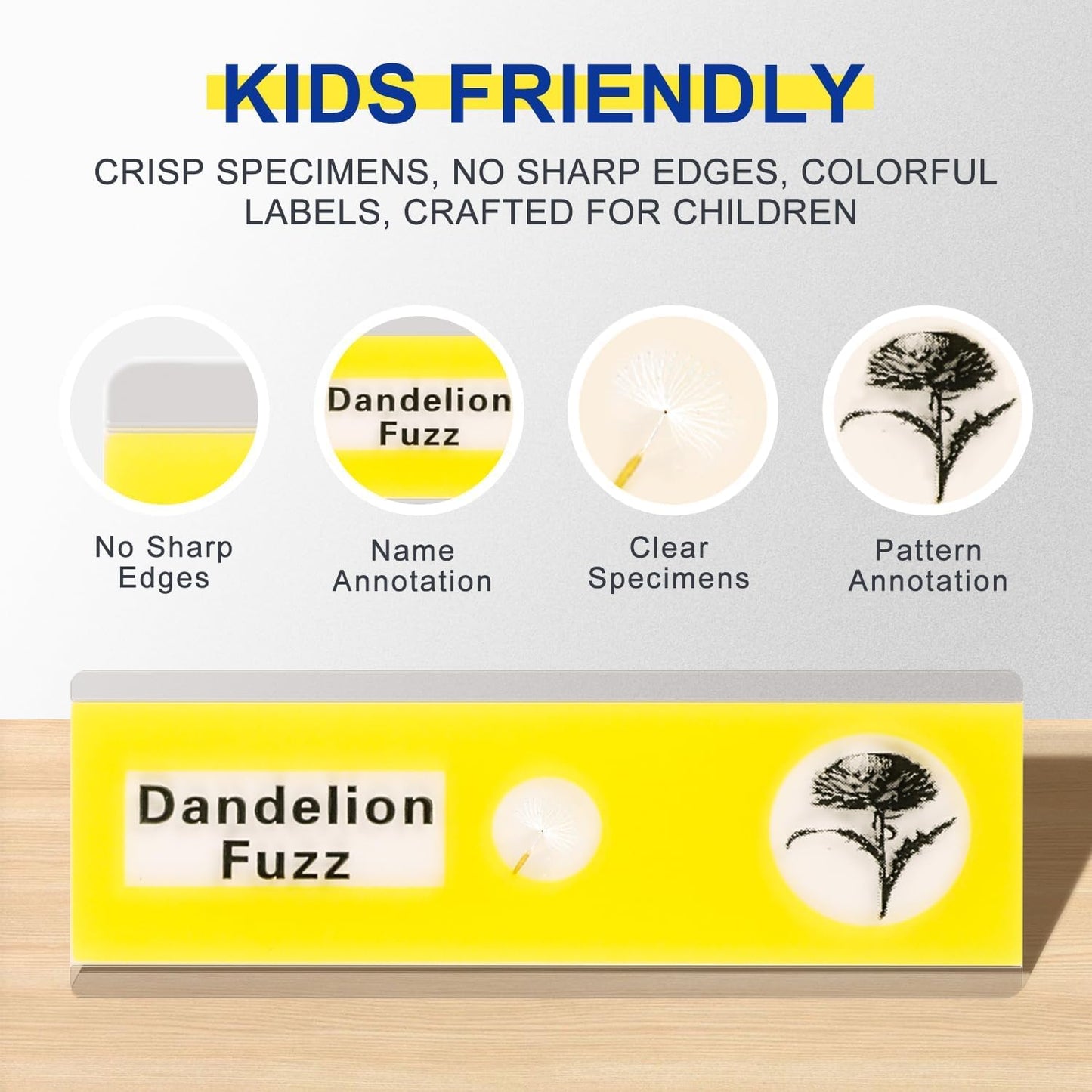 48Pcs Prepared Microscope Slides Specimen Animals Plants Flowers Sample Biological Specimen, Stereo Microscope Slide for Kids Children Students Enlighten Education