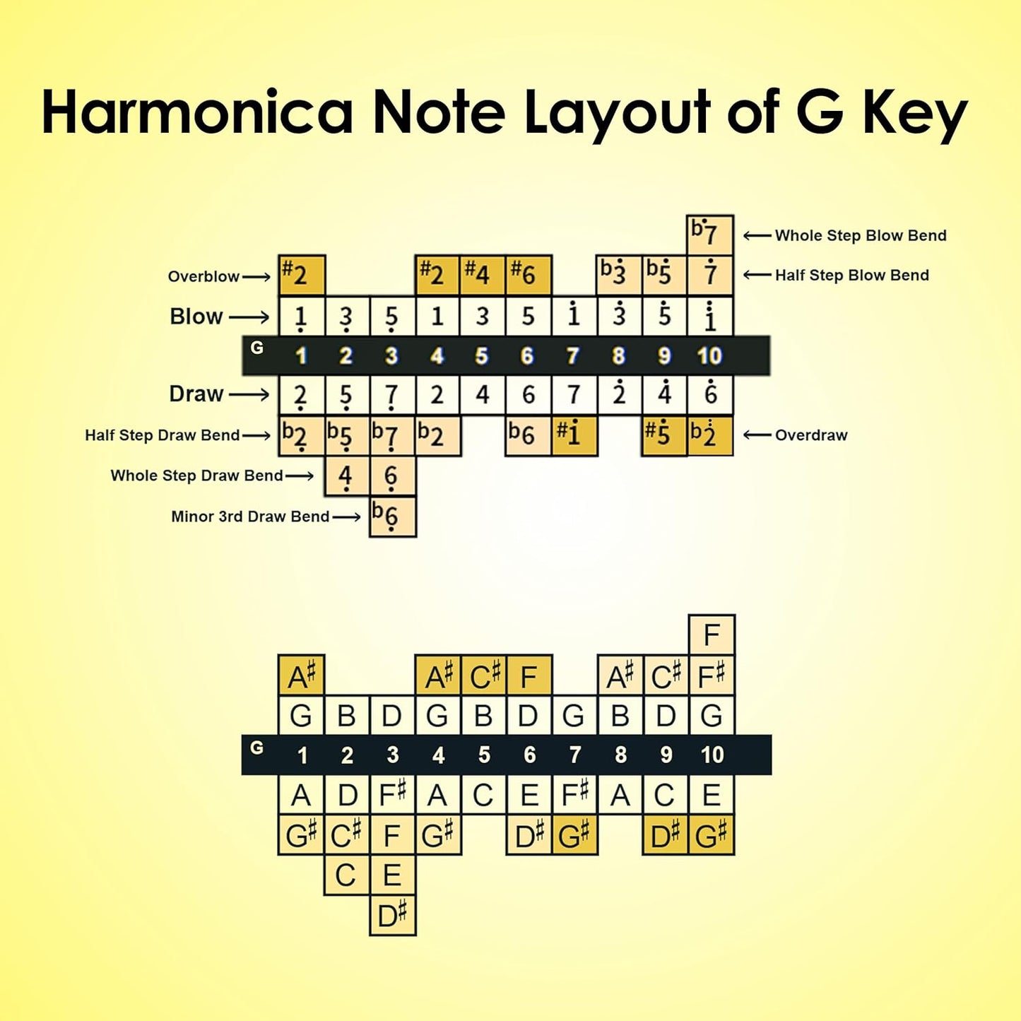 Diatonic Harmonica of G Key,Blues Mouth Organ 10 Holes 20 Tones, Reed of Phosphor Bronze, ABS Combo, Easy-Clean Cover,10 Holes Blues Harp for Adult, Beginner