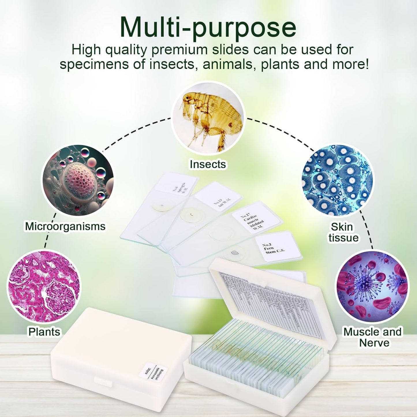 120 Microscope Slides with Specimens, Plant, Insect, Animal, Algae Slide Set for Biological Science Laboratory Basic Biological Science Education