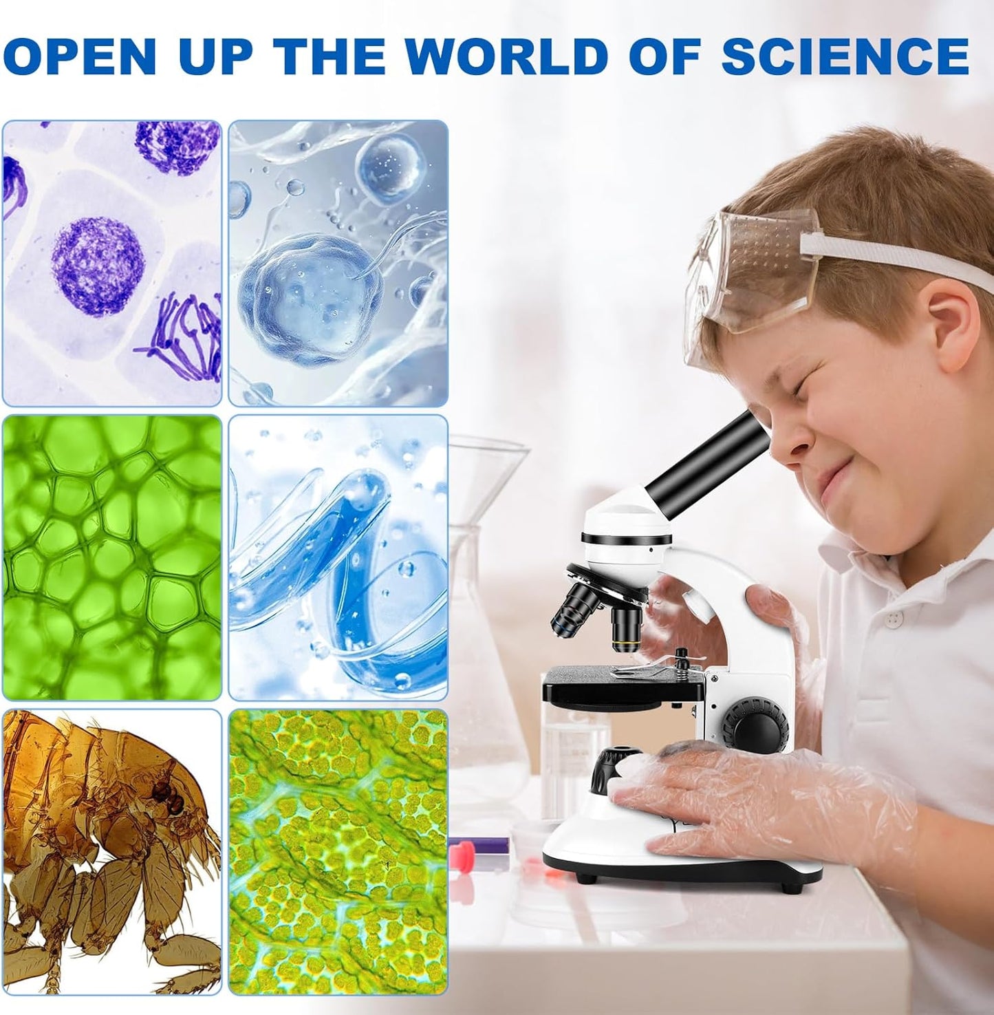 Microscope for Adults and Kids, Science School Laboratory Home Education Biology, 40-2000X High Definition,Easy to Operate,with Phone Holder 10 Specimen Slides 100 Coverslips and Bag for Student