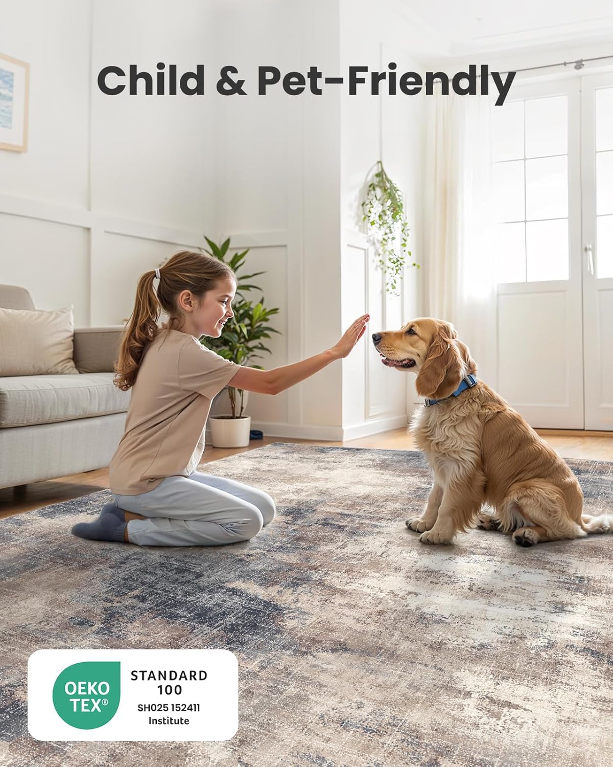 Amada 6x9 Washable Area Rug, Modern Abstract Living Room Rug with Non-Slip Backing & Short Pile, Large Rug with Abstract Pattern for Living Room, Bedroom and Dinning Room, Brown