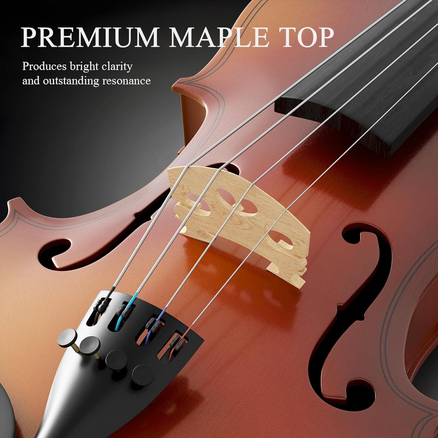 4/4 Beginner Violin Kit for Adults, Complete Full Size Violin Set with Portable Case, Bow, Rosin, Natural