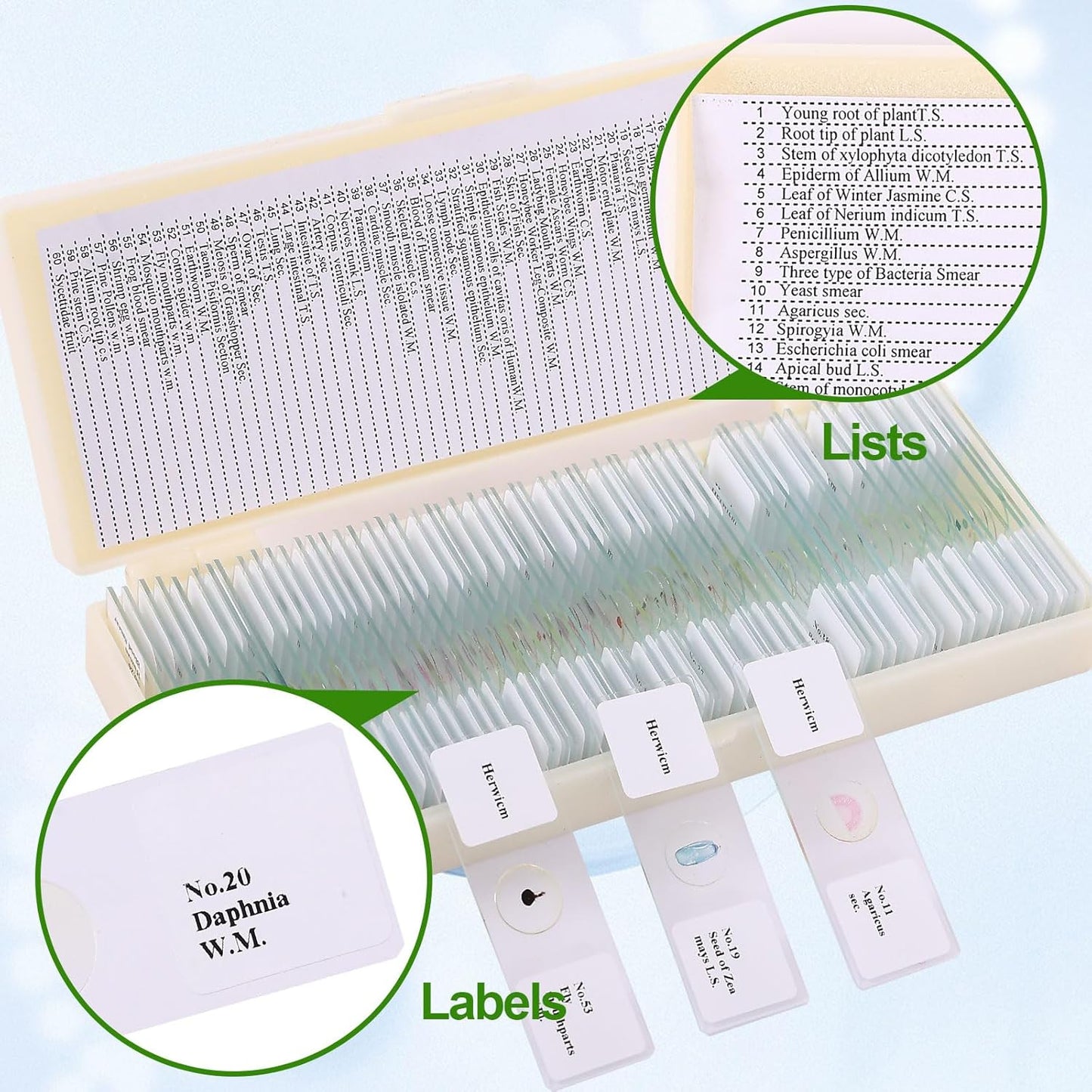 60 Pieces Prepared Microscope Slide Set with Specimens, Plant Animal Cell Science Education Microscope Slides for Bioscience Labs