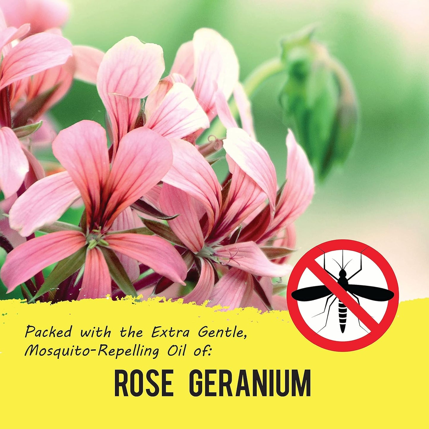 YAYA ORGANICS Baby Bug BAN Insect Repellent Wipes – All-Natural, DEET-Free, Non-Toxic, for Babies, Kids and Sensitive Skin (48 Count, Pack of 4)